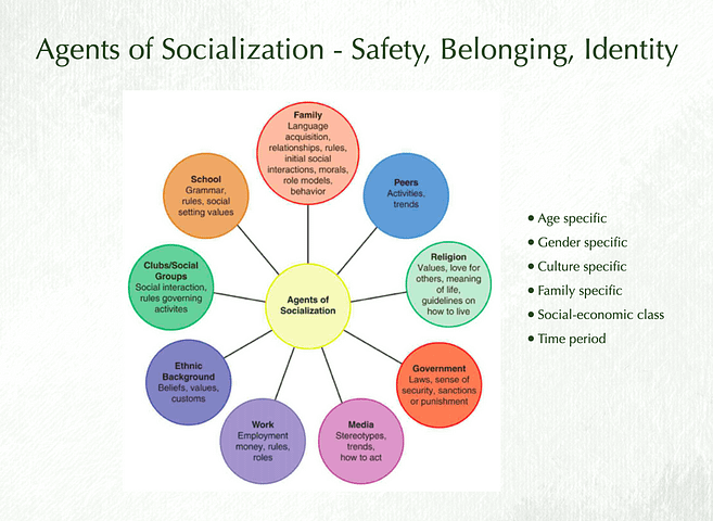 Agent of socialization